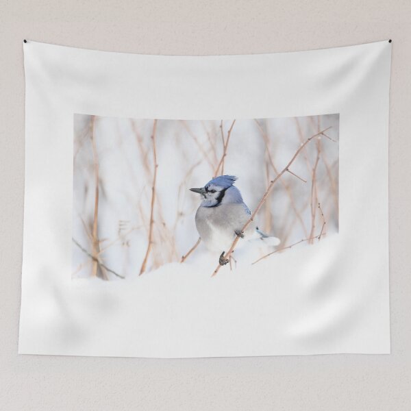 Item preview, Blue Jay - Algonquin Park designed and sold by James Cumming.