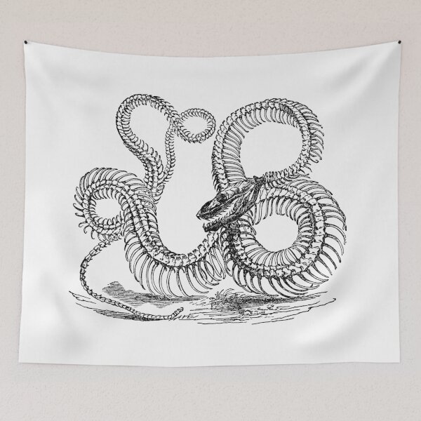 Item preview, Vintage Boa Constrictor Snake Skeleton Illustration Retro 1800s Black and White Snakes  designed and sold by SilverSpiral.