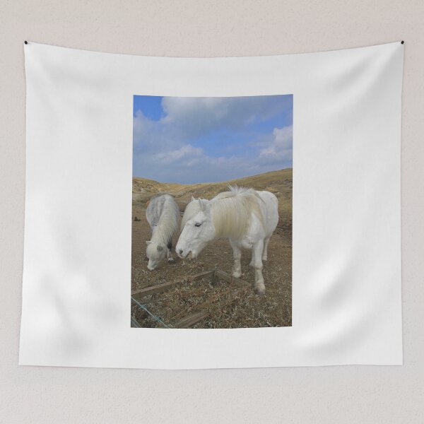 Item preview, Luskentyre, South Harris designed and sold by sandysshoots.