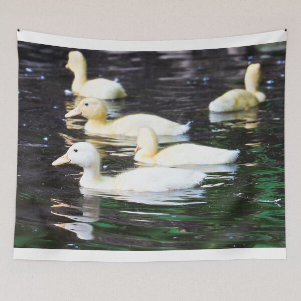 Item preview, Ducklings designed and sold by ADM  Photography.