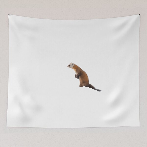 Item preview, Pine Marten - Algonquin Park designed and sold by James Cumming.