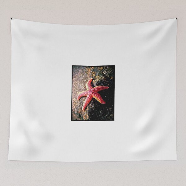 Item preview, Star designed and sold by SoulePhotos.