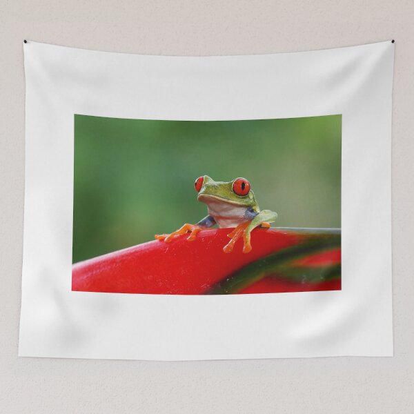 Item preview, Red-eyed Tree Frog - Costa Rica designed and sold by James Cumming.