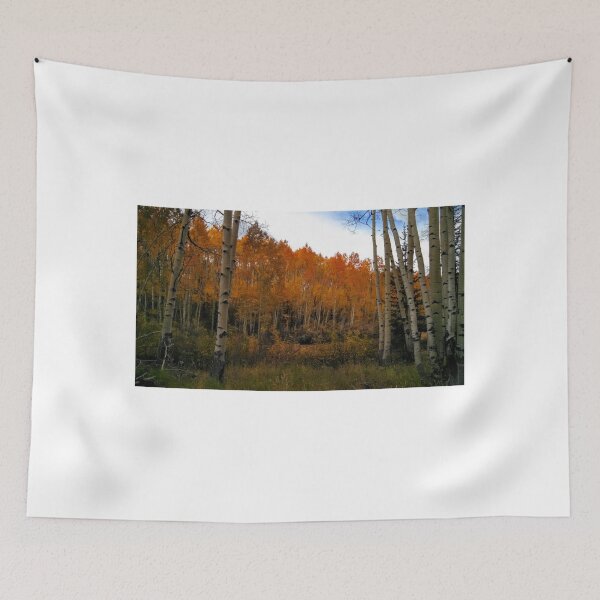 Item preview, Fall Color, Grand Mesa designed and sold by brusling.