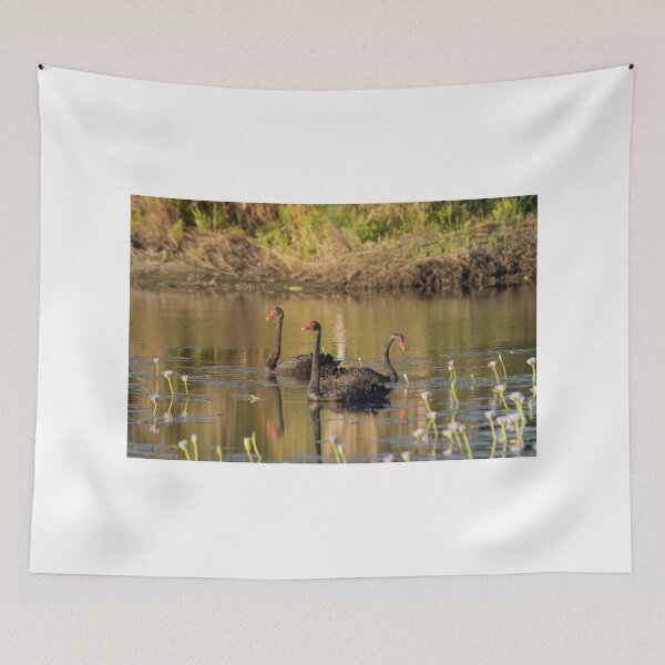 Item preview, Sunset Cygnets designed and sold by byronbackyard.