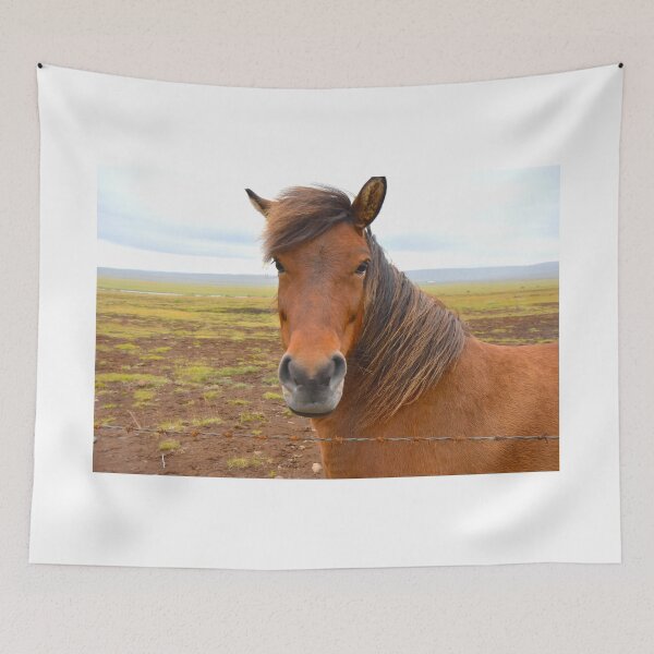 Artikelvorschau, Icelandic Horse entworfen und verkauft von lissandra900.