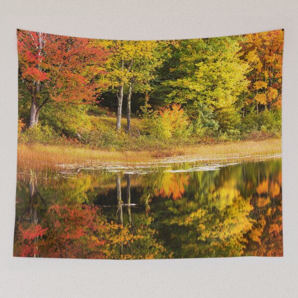 Item preview, Fall Reflection designed and sold by Chad Dutson.