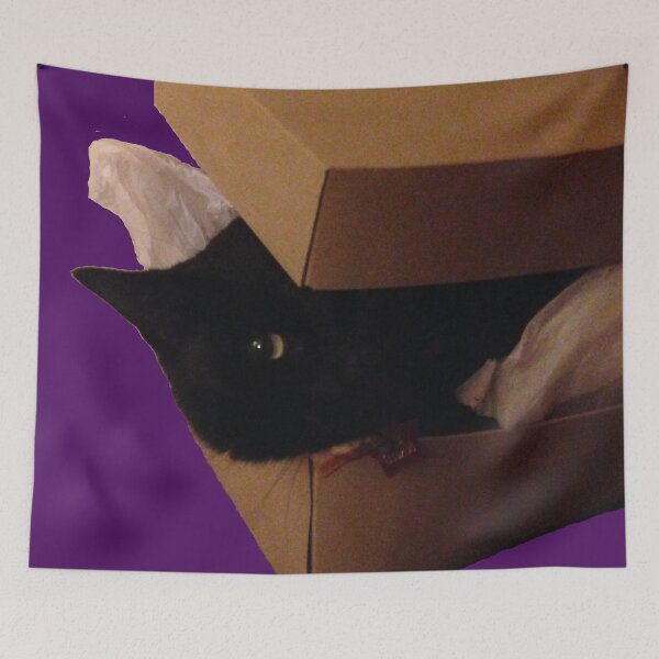 Item preview, Peak-a-Boo (Cat in a Box) designed and sold by jeremydwilliams.