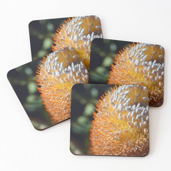 Item preview, Acorn Banksia Up Close designed and sold by Cloudlingpics.