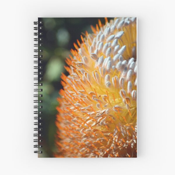 Item preview, Acorn Banksia Up Close designed and sold by Cloudlingpics.