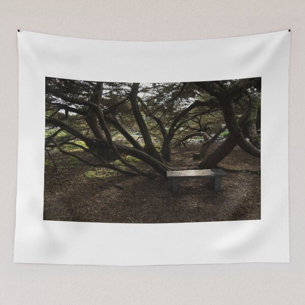 Item preview, Silver Bench - Sit for a Spell and Enjoy the Peace and Quiet designed and sold by Georgia Mizuleva.