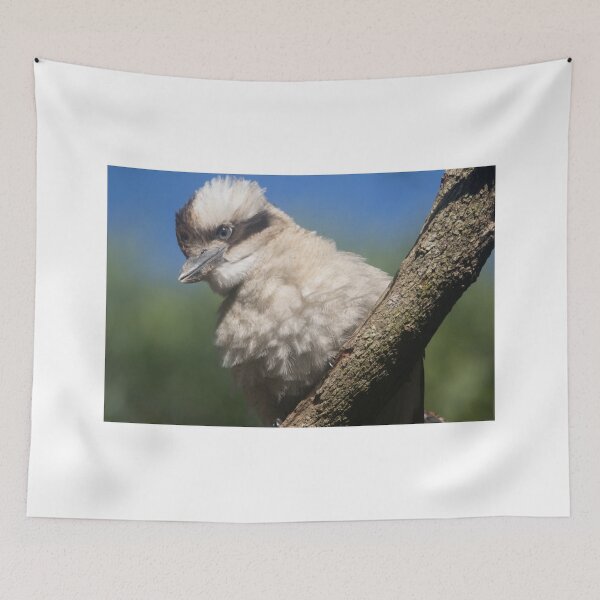 Item preview, Morning Feathers designed and sold by byronbackyard.