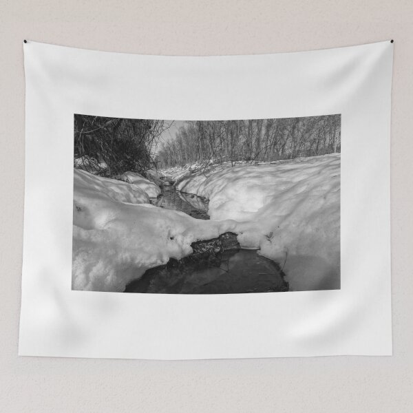 Item preview, Snowy Pond designed and sold by CSSphotos.