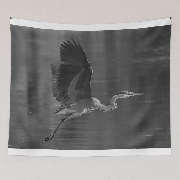 Item preview, Blue Heron in Flight  designed and sold by ADM  Photography.