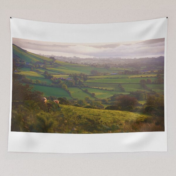 Item preview, Early Morning Glory designed and sold by Johnny Griffin.