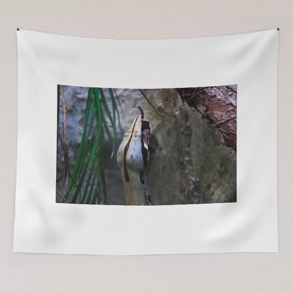 Item preview, Python At Amaru designed and sold by alabca.