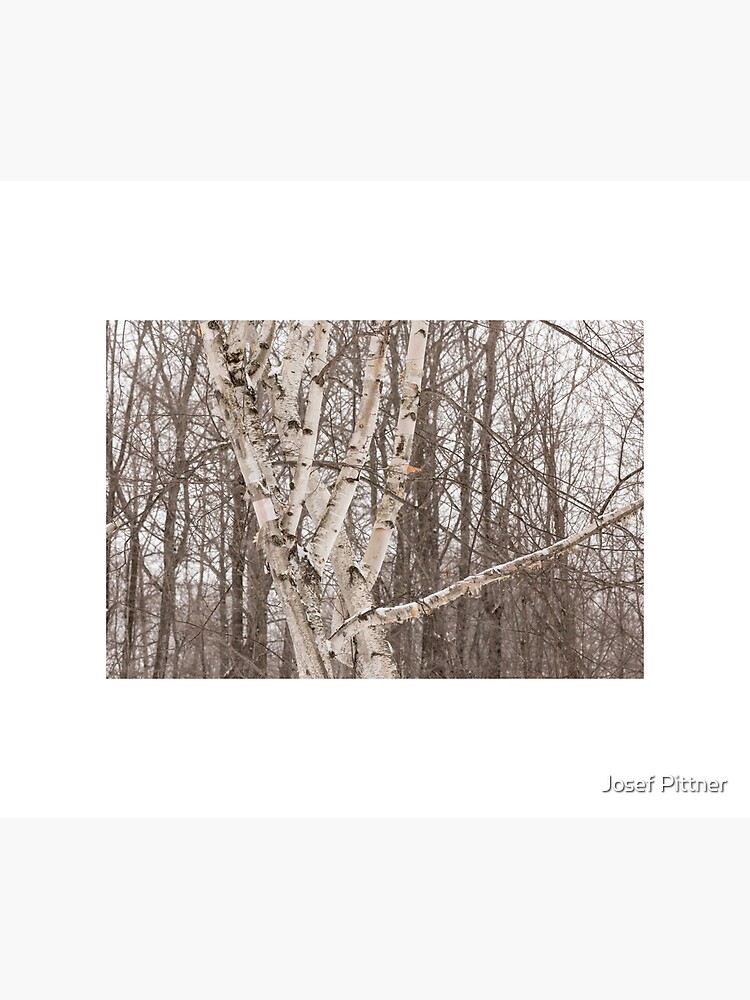 Disover Winter forest Tapestry