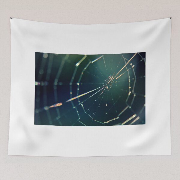 Item preview, Sunset Web designed and sold by Kathleen Daley.