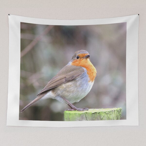Item preview, Robin Sitting On Wooded Post designed and sold by EvieTuffs.