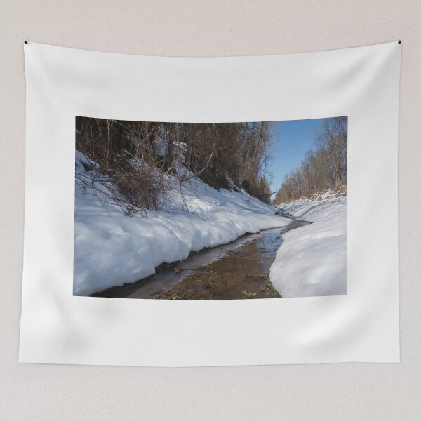 Item preview, Winter Stream designed and sold by CSSphotos.