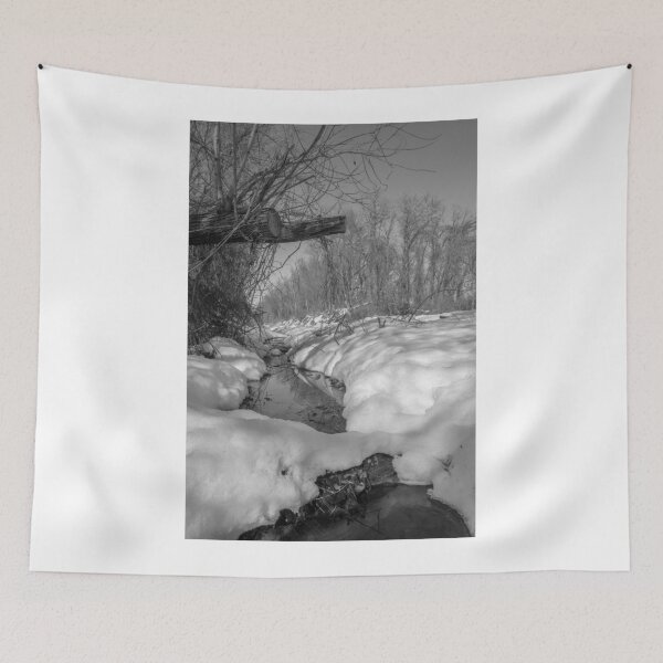 Item preview, Black and White Snowy Pond designed and sold by CSSphotos.