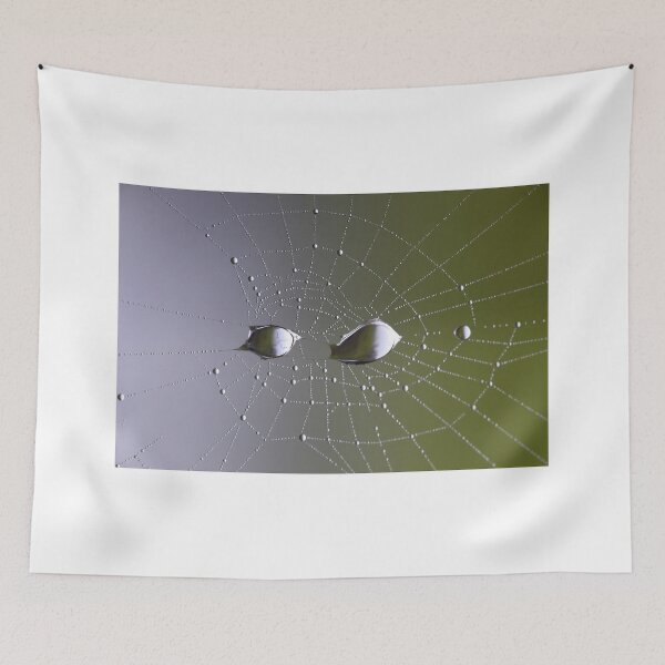 Item preview, Spider web designed and sold by annalisa56.