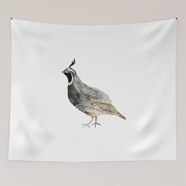 Item preview, Watercolor Quail designed and sold by natalievmason.