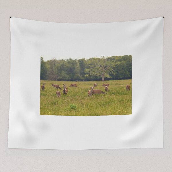 Item preview, You Looking At Me designed and sold by Johnny Griffin.