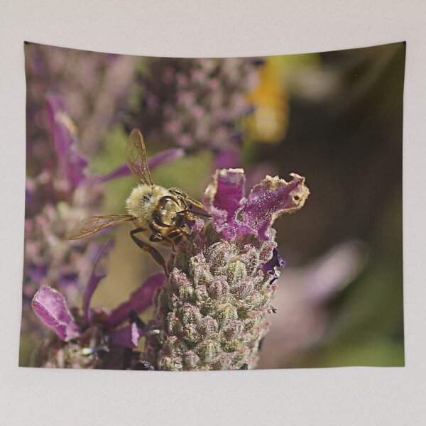 Item preview, Lavender Girl designed and sold by Paul Chubb.