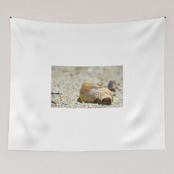 Item preview, Large Shell designed and sold by Dexterityphotos.