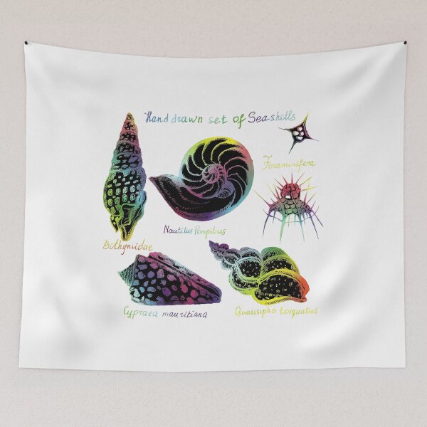 Item preview, Hand drawn set of vintage seashells illustrations.  designed and sold by TrishaMcmillan.