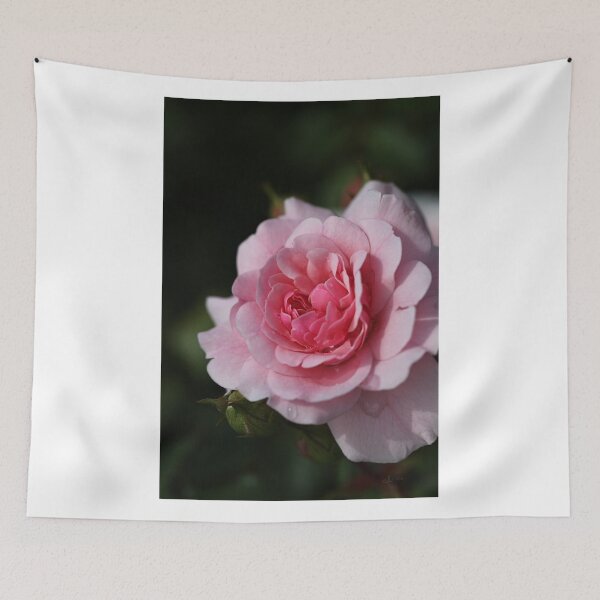 Item preview, Pink Shades Of Rose  designed and sold by Joy Watson - Natural Light Photography .