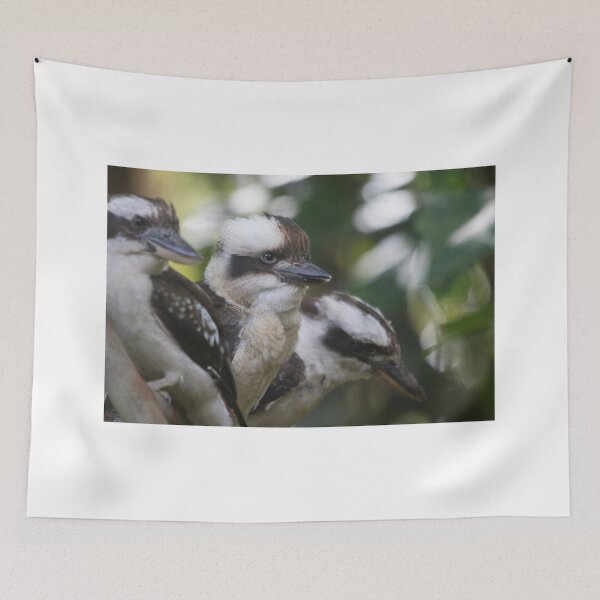 Item preview, Boof Baby designed and sold by byronbackyard.