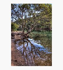 Still Water REFLECTION Photographic Print