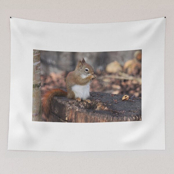 Item preview, Red Squirrel designed and sold by Jo Nijenhuis.