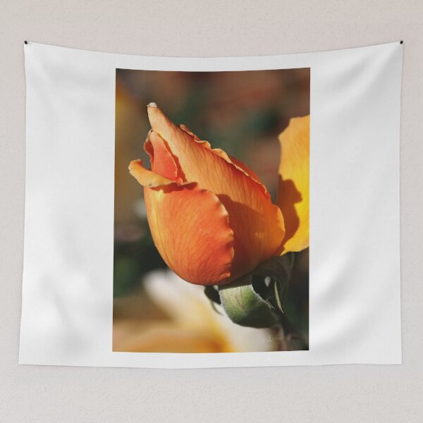 Item preview, Orange Rose Bud designed and sold by Joy Watson - Natural Light Photography .