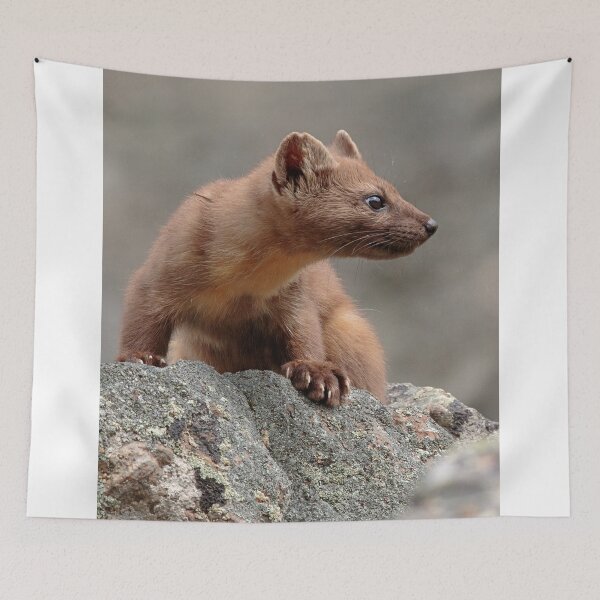 Item preview, Intensity designed and sold by WorldDesign.