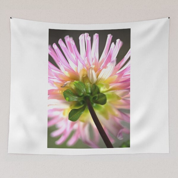 Item preview, Like A Candy Dahlia  designed and sold by Joy Watson - Natural Light Photography .