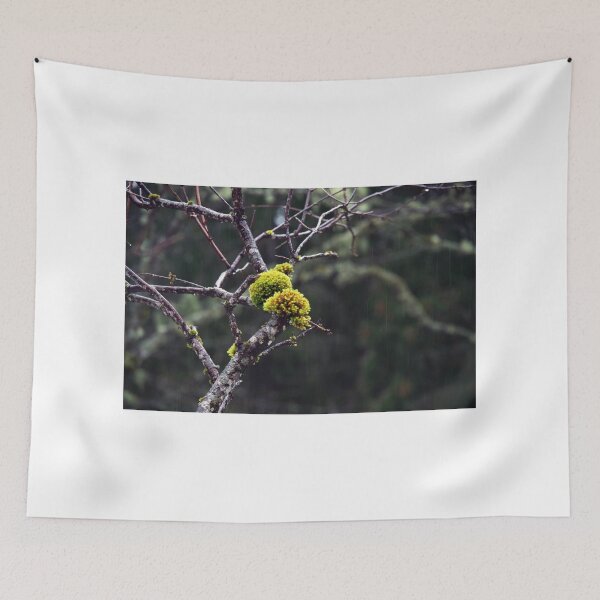 Item preview, Sponges In The Rain designed and sold by Mezei József Tibor.
