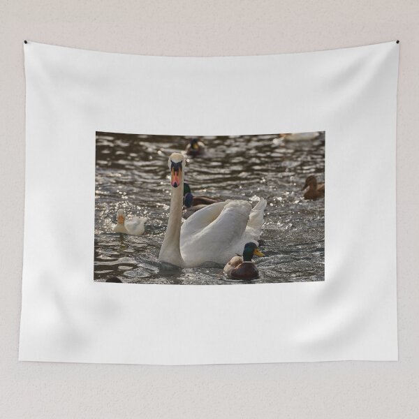 Item preview, Swan on the Neckar designed and sold by Mark Bangert.