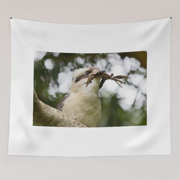 Item preview, A Kooka Catch designed and sold by byronbackyard.