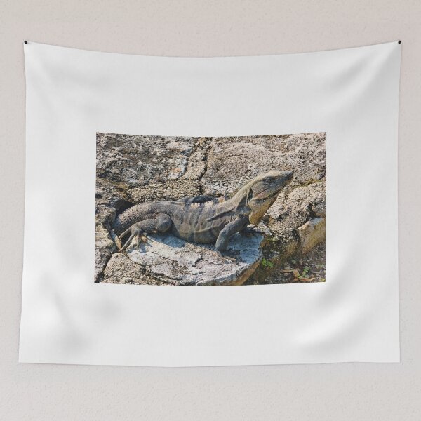 Item preview, Whatta Ya Mean, Did I See My Shadow Or Not? designed and sold by Lanis Rossi.