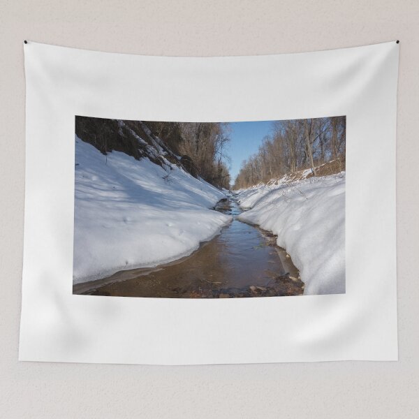 Item preview, Stream on a winter day designed and sold by CSSphotos.