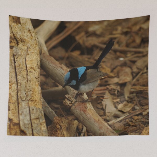Item preview, Superb Fairy Wren designed and sold by Paul Chubb.