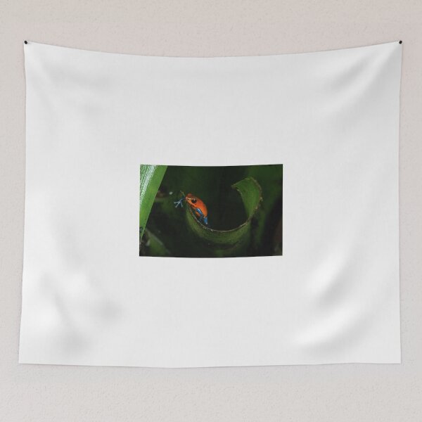 Item preview, Frog in La Fortuna, Costa Rica designed and sold by Tess Mitchell.