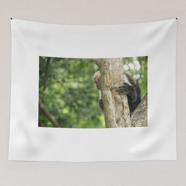 Item preview, A Shy Monkey in Nicaragua designed and sold by Tess Mitchell.
