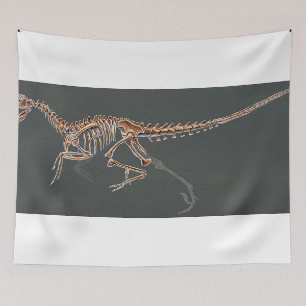 Item preview, Dakotaraptor Skeleton Study No Labels designed and sold by Thedragonofdoom.