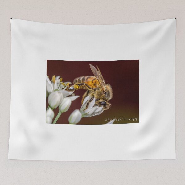 Item preview, Beewonder designed and sold by Rick Playle.