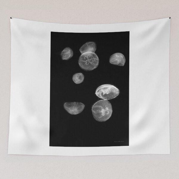 Item preview, Fish - Reach for the moon designed and sold by Mike Savad Photography.