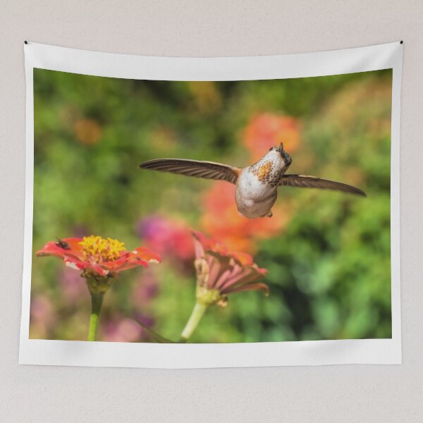 Item preview, What's Up designed and sold by MCHerdering Photography.